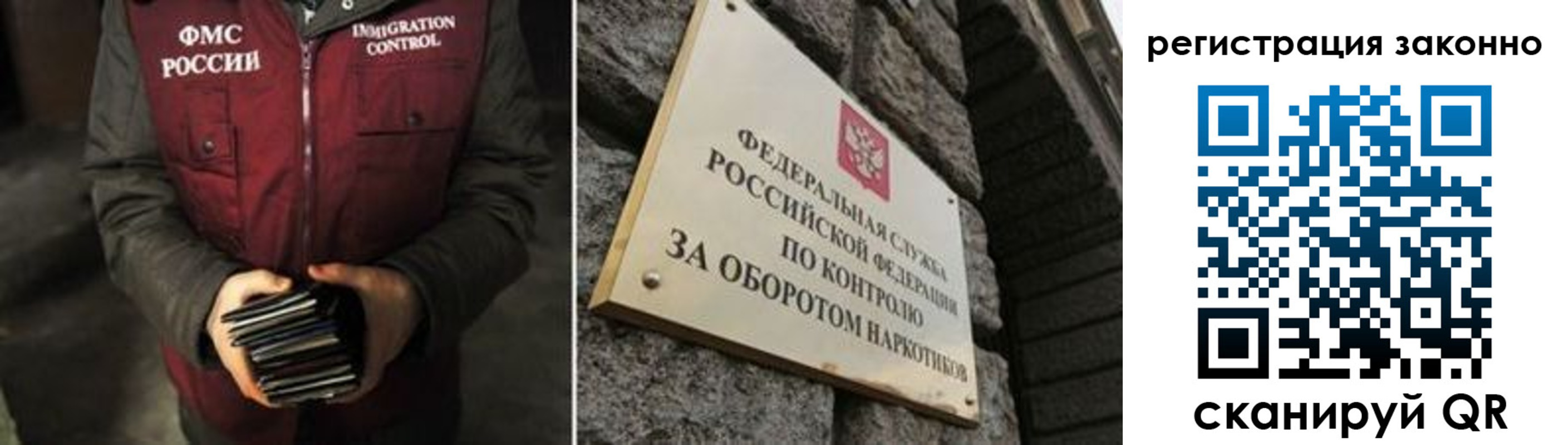 прописка поиск в Саранске